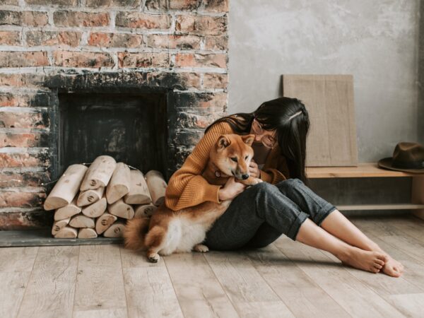 Choosing the Right Pet for Your Lifestyle